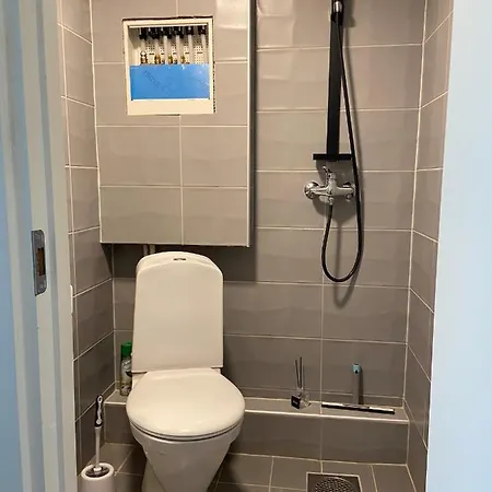 Liten Koselig Hybel I Gamle Осло